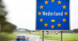 Oude Koeienrassen in Nederland - Cultuur en Behoud