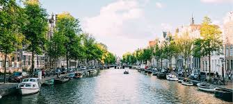 Oude Koeienrassen in Nederland - Cultuur en Behoud