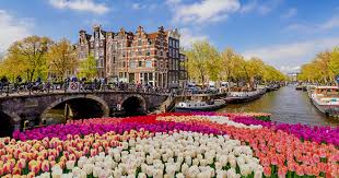 Oude Koeienrassen in Nederland - Cultuur en Behoud