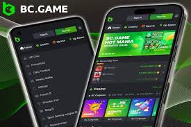 Understanding the BC.Game Withdrawal Process A Comprehensive Guide